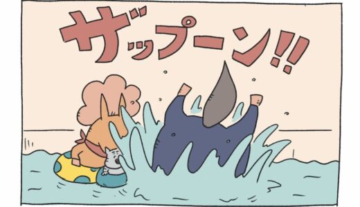 3R　プール調教でダイエット！
